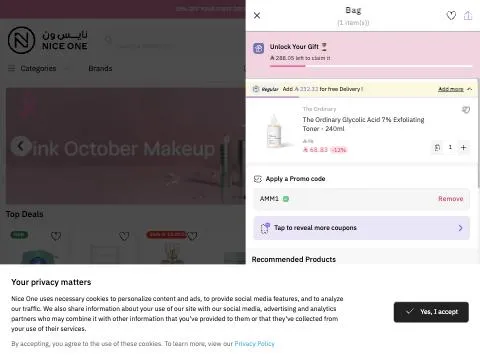 AMM1 applied in the nice one basket: Success: Your coupon discount has been applied! — Total (incl. VAT) SAR 61.95 (10% off 68.83)
